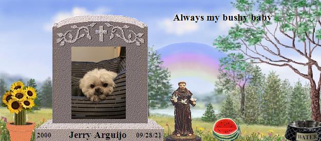 Jerry Arguijo's Rainbow Bridge Pet Loss Memorial Residency Image