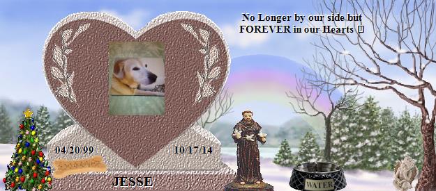 JESSE's Rainbow Bridge Pet Loss Memorial Residency Image