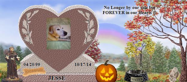 JESSE's Rainbow Bridge Pet Loss Memorial Residency Image