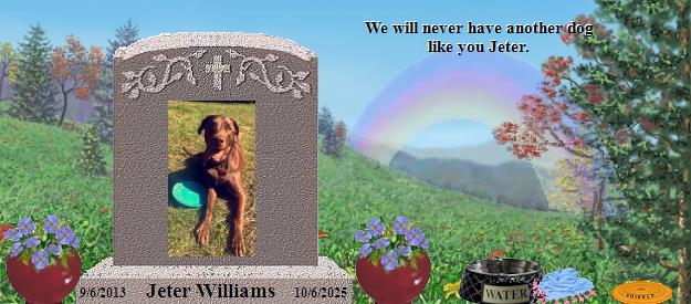 Jeter Williams's Rainbow Bridge Pet Loss Memorial Residency Image