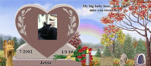 Jettie's Rainbow Bridge Pet Loss Memorial Residency Image