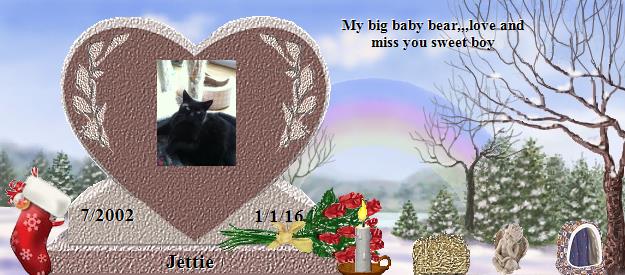 Jettie's Rainbow Bridge Pet Loss Memorial Residency Image