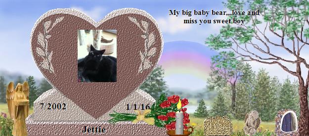 Jettie's Rainbow Bridge Pet Loss Memorial Residency Image