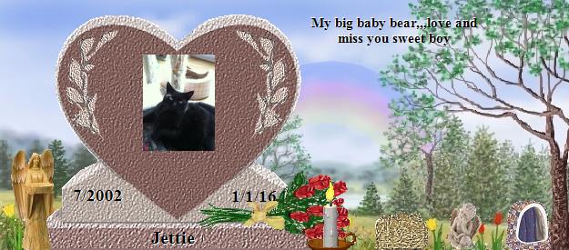 Jettie's Rainbow Bridge Pet Loss Memorial Residency Image