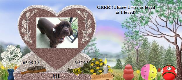 Jill's Rainbow Bridge Pet Loss Memorial Residency Image