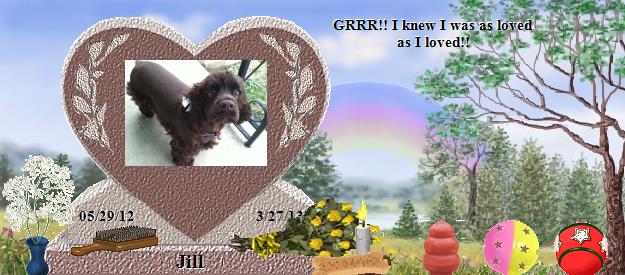 Jill's Rainbow Bridge Pet Loss Memorial Residency Image