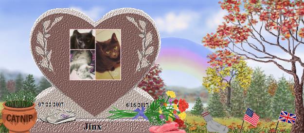 Jinx's Rainbow Bridge Pet Loss Memorial Residency Image