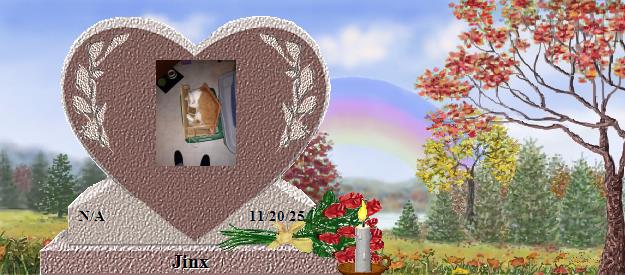 Jinx's Rainbow Bridge Pet Loss Memorial Residency Image