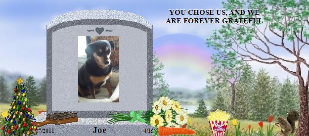 Joe's Rainbow Bridge Pet Loss Memorial Residency Image