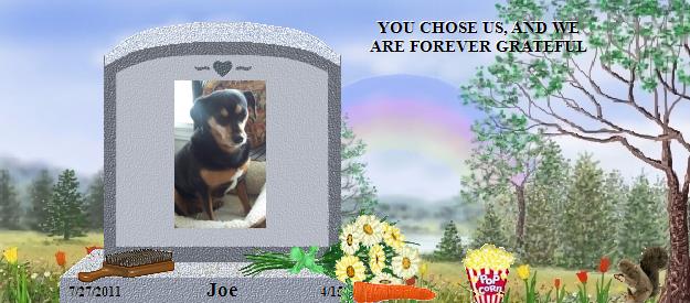Joe's Rainbow Bridge Pet Loss Memorial Residency Image