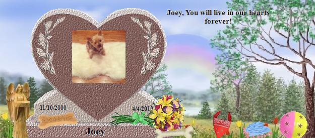 Joey's Rainbow Bridge Pet Loss Memorial Residency Image