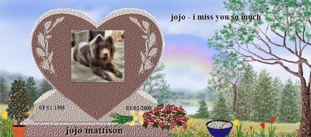 jojo mattison's Rainbow Bridge Pet Loss Memorial Residency Image