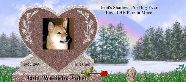 Joshi (We-Sedso Joshe)'s Rainbow Bridge Pet Loss Memorial Residency Image