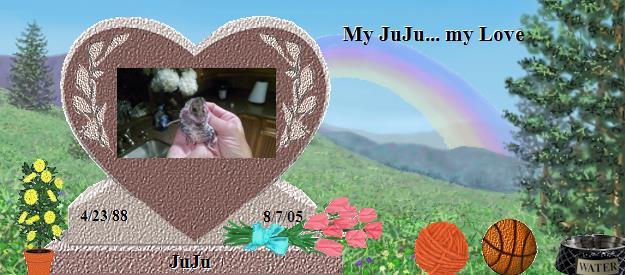JuJu's Rainbow Bridge Pet Loss Memorial Residency Image