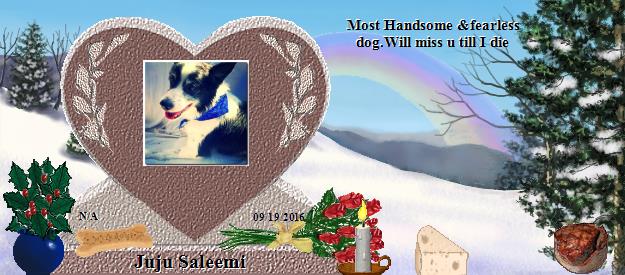 Juju Saleemi's Rainbow Bridge Pet Loss Memorial Residency Image