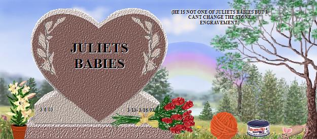 JULIETS BABIES's Rainbow Bridge Pet Loss Memorial Residency Image