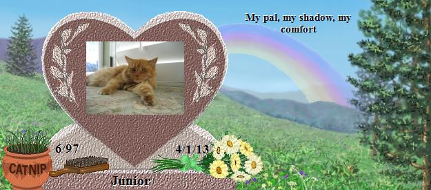 Junior's Rainbow Bridge Pet Loss Memorial Residency Image