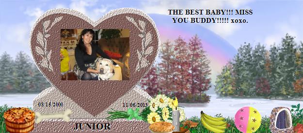 JUNIOR's Rainbow Bridge Pet Loss Memorial Residency Image