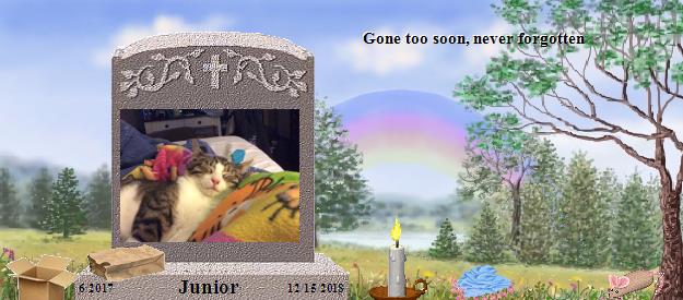 Junior's Rainbow Bridge Pet Loss Memorial Residency Image