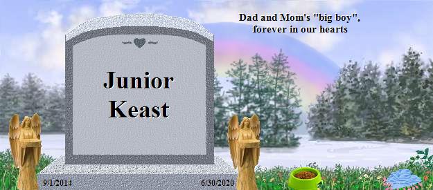 Junior Keast's Rainbow Bridge Pet Loss Memorial Residency Image