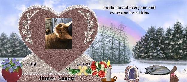 Junior Aguzzi's Rainbow Bridge Pet Loss Memorial Residency Image