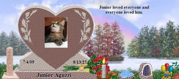 Junior Aguzzi's Rainbow Bridge Pet Loss Memorial Residency Image