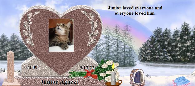 Junior Aguzzi's Rainbow Bridge Pet Loss Memorial Residency Image