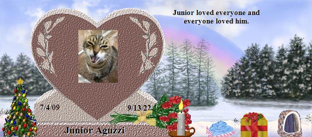 Junior Aguzzi's Rainbow Bridge Pet Loss Memorial Residency Image