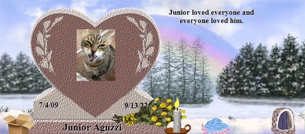 Junior Aguzzi's Rainbow Bridge Pet Loss Memorial Residency Image