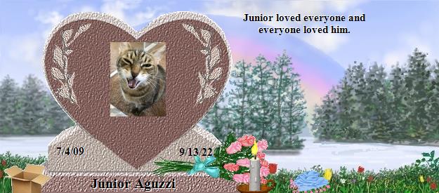 Junior Aguzzi's Rainbow Bridge Pet Loss Memorial Residency Image