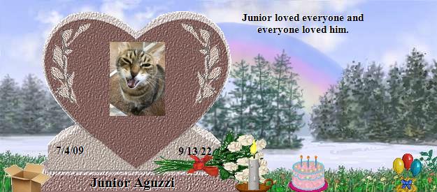 Junior Aguzzi's Rainbow Bridge Pet Loss Memorial Residency Image