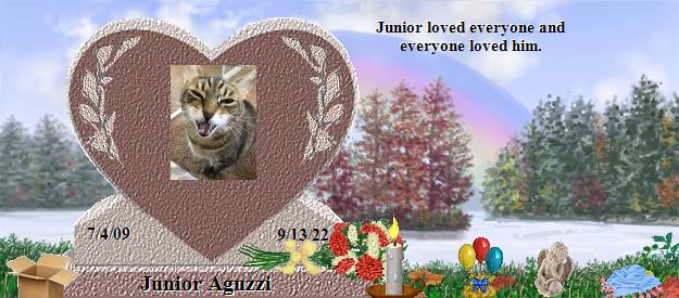 Junior Aguzzi's Rainbow Bridge Pet Loss Memorial Residency Image
