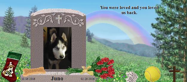 Juno's Rainbow Bridge Pet Loss Memorial Residency Image