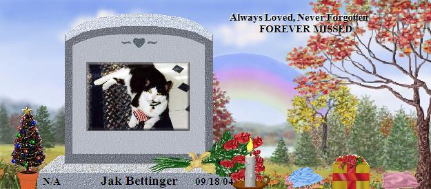 Jak Bettinger's Rainbow Bridge Pet Loss Memorial Residency Image