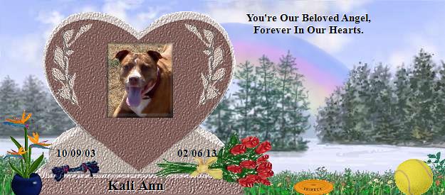 Kali Ann's Rainbow Bridge Pet Loss Memorial Residency Image