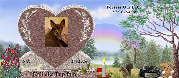 Kali aka Pup Pup's Rainbow Bridge Pet Loss Memorial Residency Image