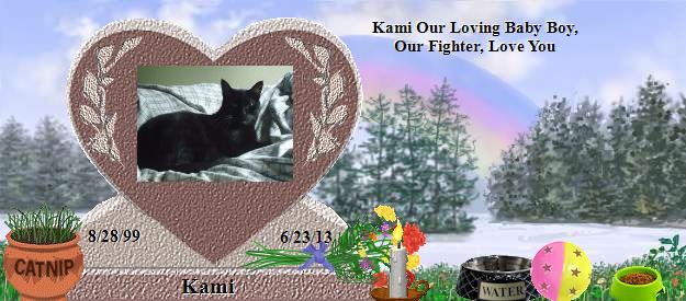 Kami's Rainbow Bridge Pet Loss Memorial Residency Image