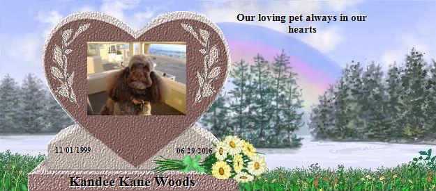 Kandee Kane Woods's Rainbow Bridge Pet Loss Memorial Residency Image