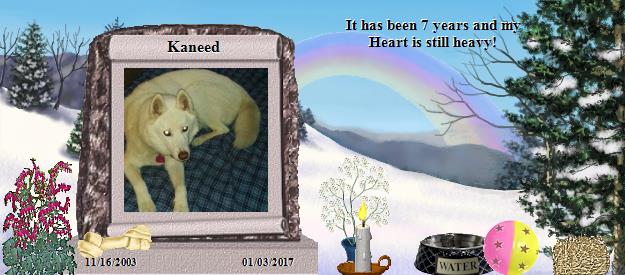 Kaneed's Rainbow Bridge Pet Loss Memorial Residency Image