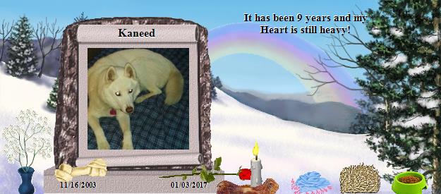 Kaneed's Rainbow Bridge Pet Loss Memorial Residency Image