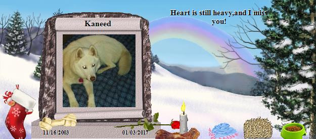 Kaneed's Rainbow Bridge Pet Loss Memorial Residency Image