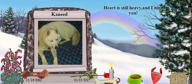 Kaneed's Rainbow Bridge Pet Loss Memorial Residency Image
