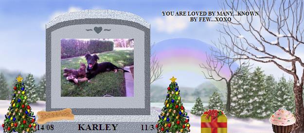 KARLEY's Rainbow Bridge Pet Loss Memorial Residency Image
