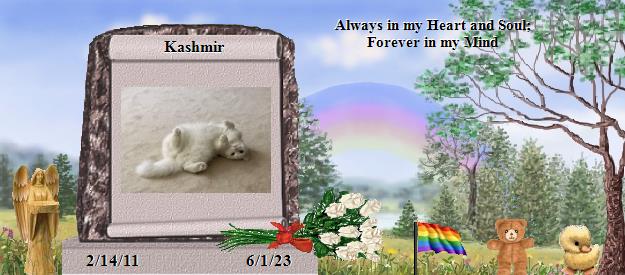 Kashmir's Rainbow Bridge Pet Loss Memorial Residency Image