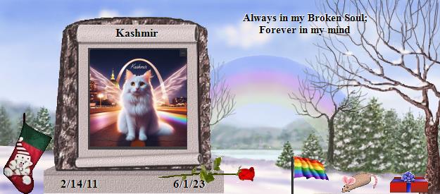 Kashmir's Rainbow Bridge Pet Loss Memorial Residency Image