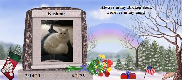 Kashmir's Rainbow Bridge Pet Loss Memorial Residency Image