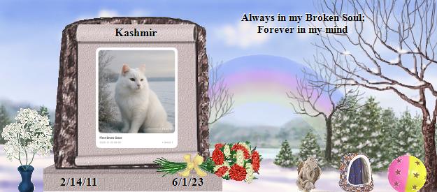Kashmir's Rainbow Bridge Pet Loss Memorial Residency Image