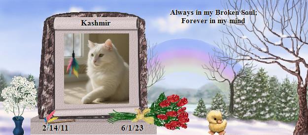 Kashmir's Rainbow Bridge Pet Loss Memorial Residency Image