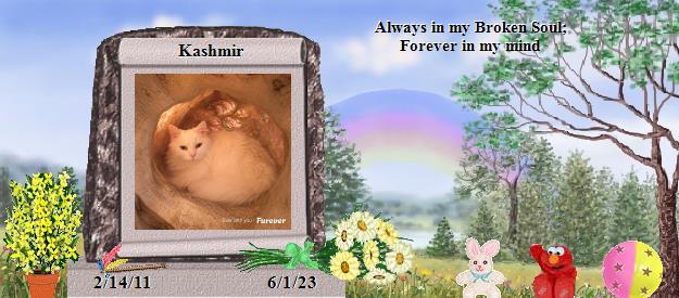 Kashmir's Rainbow Bridge Pet Loss Memorial Residency Image