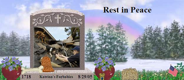 Katrina's Furbabies's Rainbow Bridge Pet Loss Memorial Residency Image